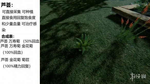 《森林》游戏植物有什么 the forest植物图鉴分享