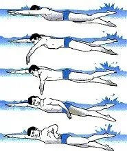 怎么学习自由游？