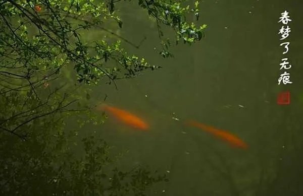 春梦了无痕是什么意思