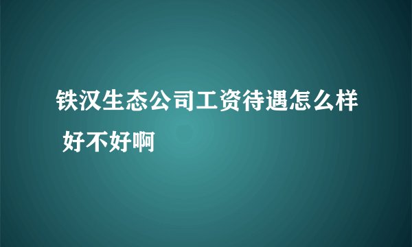 铁汉生态公司工资待遇怎么样 好不好啊