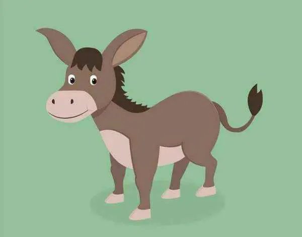 我有一只小毛驴的歌词是什么？