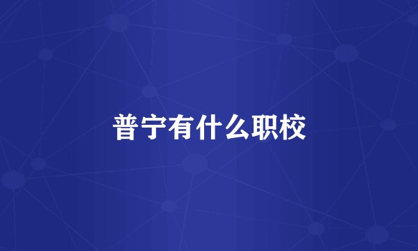 普宁有什么职校