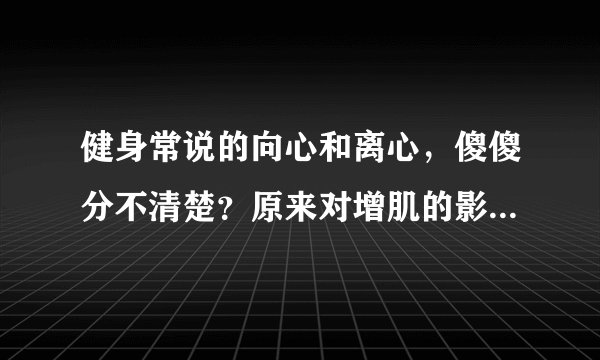 健身常说的向心和离心，傻傻分不清楚？原来对增肌的影响那么大！