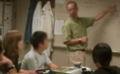 我的老师作文开头