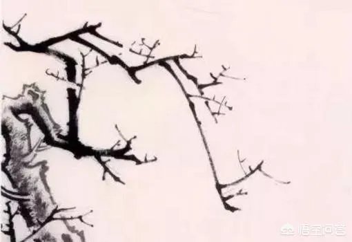 国画梅花图解教程？