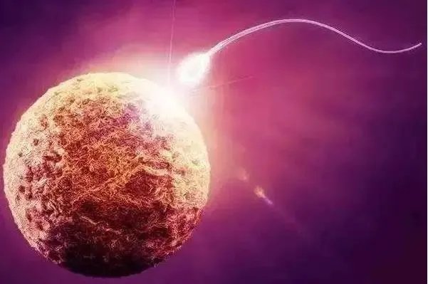 成都华西附二院试管价格-成都华西医院人工授精多少钱？