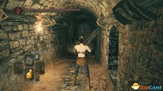 黑暗之魂2原罪学者全隐藏门位置一览 隐藏门在哪