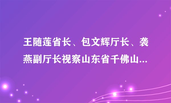 王随莲省长、包文辉厅长、袭燕副厅长视察山东省千佛山医院肛肠科