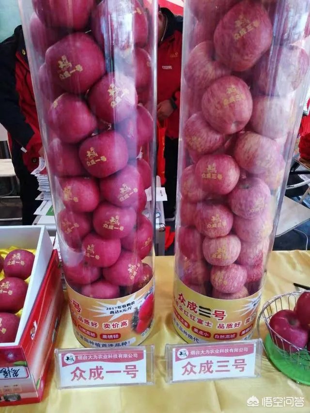 杨凌农高会有哪些新品种?