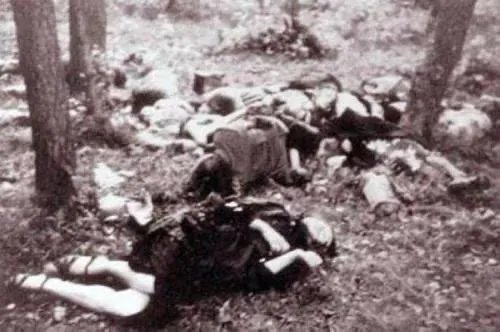 乌克兰和俄罗斯是世仇吗？为什么？