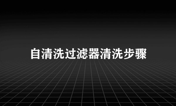 自清洗过滤器清洗步骤