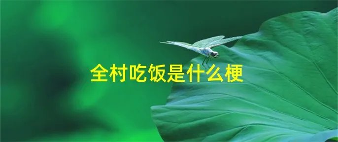 全村吃饭是什么梗