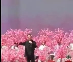 蒋大为唱的那首《在那桃花盛开的地方》，到底是哪个地方？