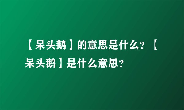 【呆头鹅】的意思是什么？【呆头鹅】是什么意思？