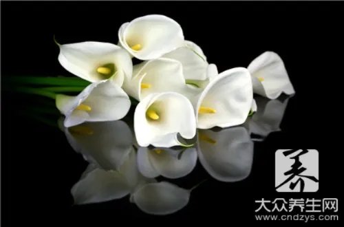 各种花粉的功效与作用