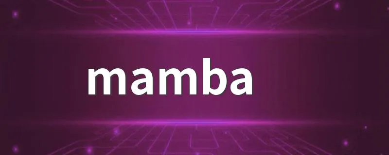 mamba out到底什么意思 给大家介绍一下