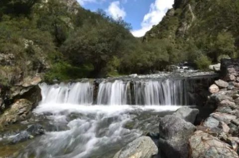 有山皆图画（下一句）是什么？