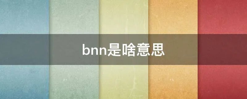 bnn是啥意思