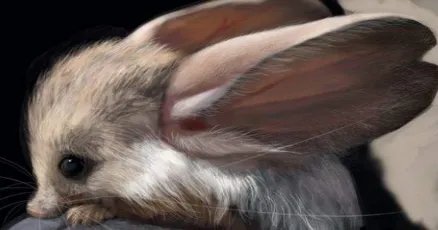 长耳跳鼠生长在哪个地区？为何是世界上耳朵最长的鼠？