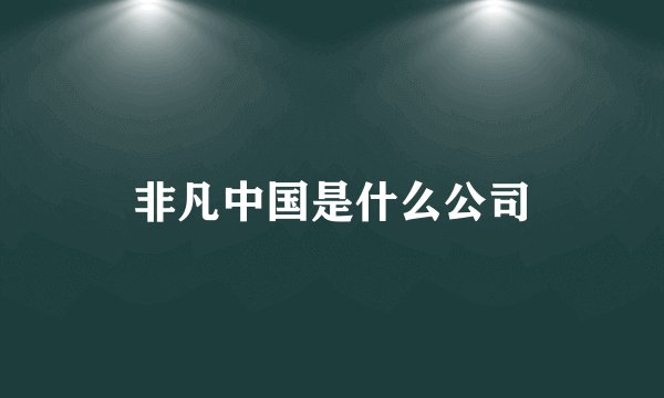 非凡中国是什么公司