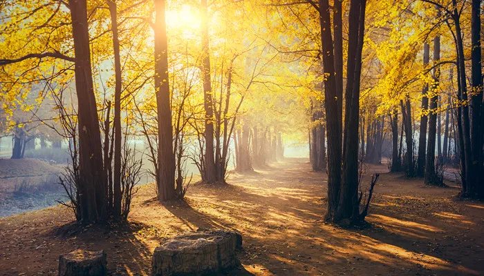 长沙十景有哪些 长沙十景都有哪些呢