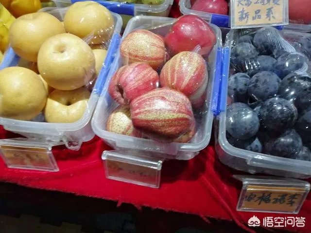 杨凌农高会有哪些新品种?