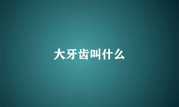 大牙齿叫什么