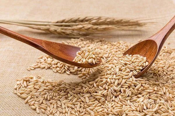 燕麦麸皮的功效与作用