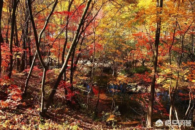 本溪的老边沟风景区风景优美吗?