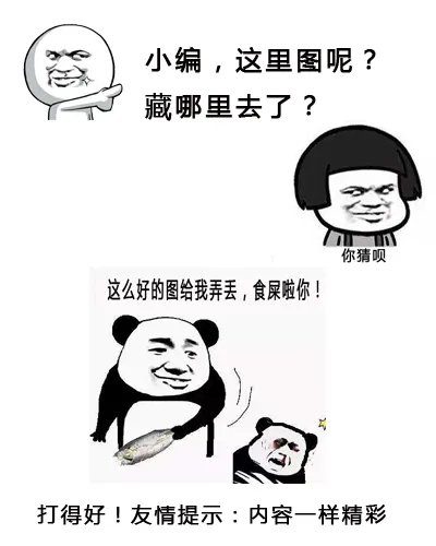 麦茜威廉姆斯长残太丑了照片 麦茜威廉姆斯现在男友是谁