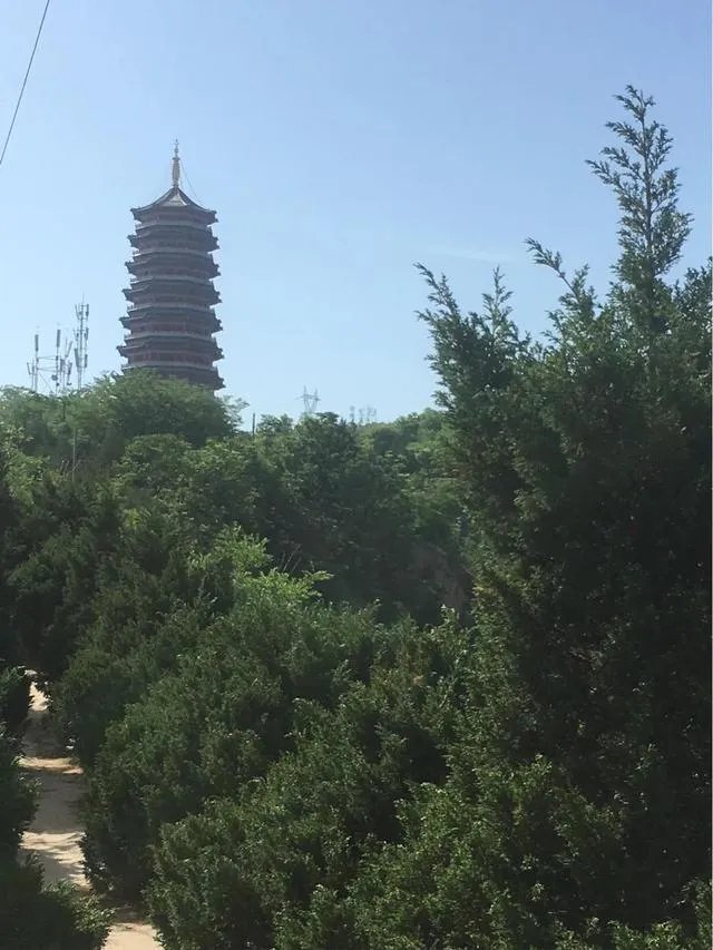 天水有哪些主要景点？