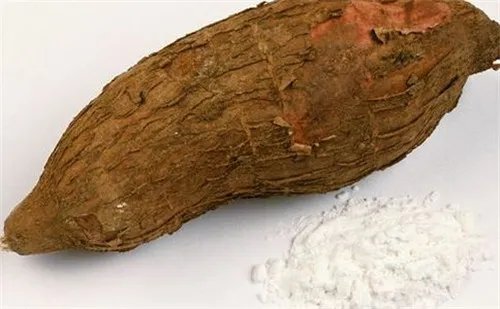 木薯是什么 快速了解木薯功效作用