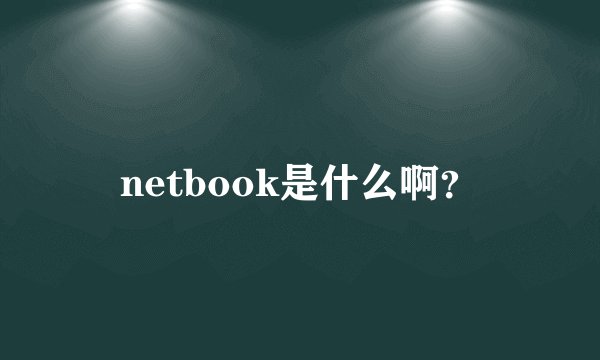 netbook是什么啊？