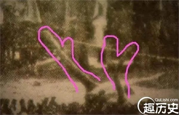 1934年营口坠龙事件 其中真相竟然是这样的