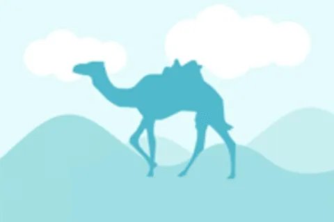 天水有哪些主要景点？