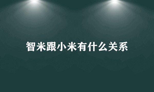 智米跟小米有什么关系