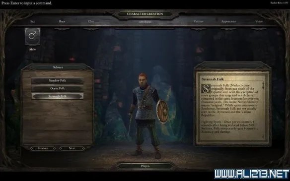 《永恒之柱》Beta版全种族及亚种图文一览 永恒之柱有哪些种族