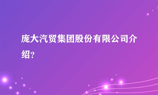 庞大汽贸集团股份有限公司介绍？
