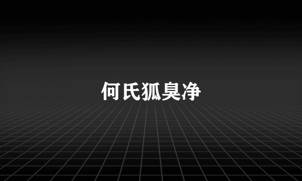 何氏狐臭净