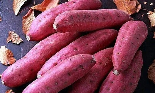 最快的减肥方法有哪些，如何让自己迅速瘦下来？