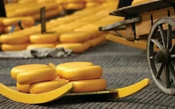 荷兰有什么特色美食？