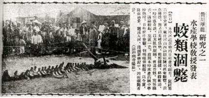 1934年营口坠龙事件 其中真相竟然是这样的