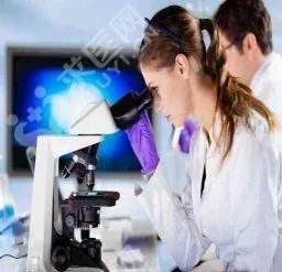 温州市人民医院试管婴儿医生排名前3是谁？