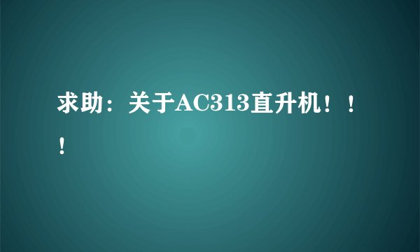求助：关于AC313直升机！！！