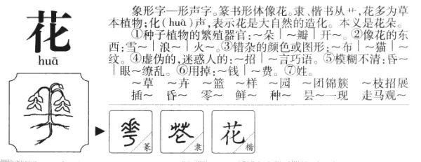 花的笔顺怎么写的