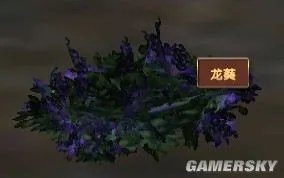 《模拟人生：中世纪》草药种类及分布图