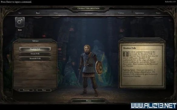 《永恒之柱》Beta版全种族及亚种图文一览 永恒之柱有哪些种族