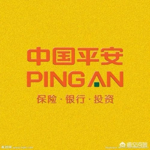 中国最大的私人企业？