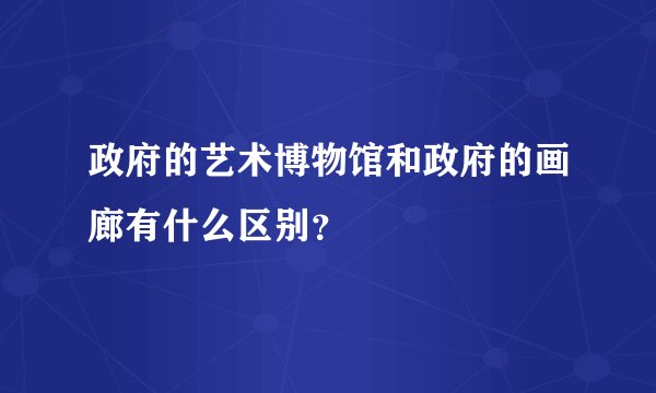 政府的艺术博物馆和政府的画廊有什么区别？