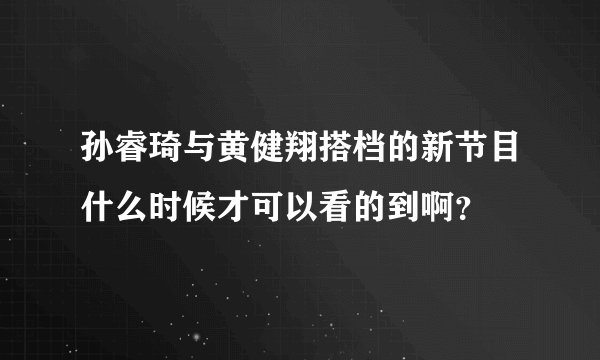 孙睿琦与黄健翔搭档的新节目什么时候才可以看的到啊？